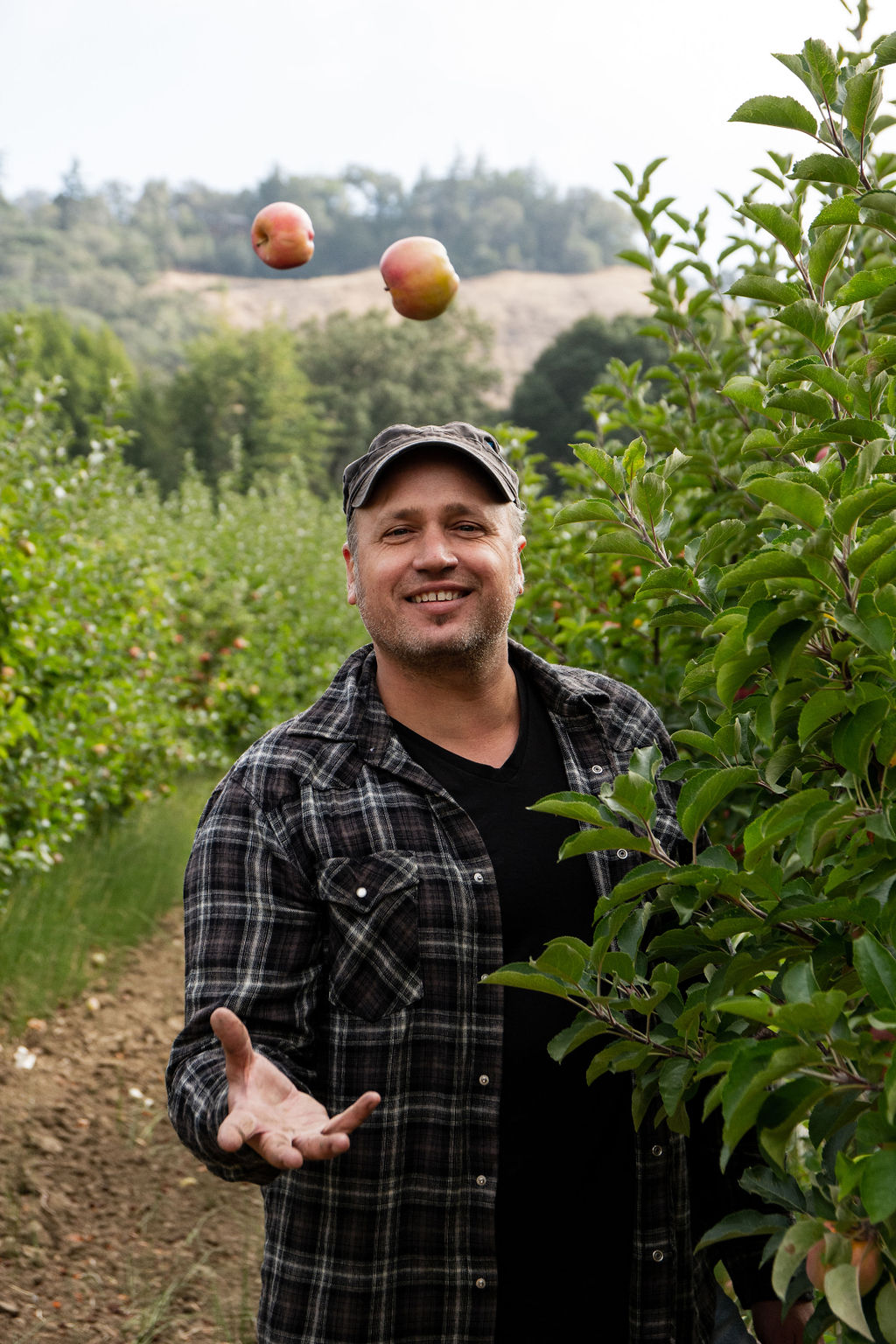 Goat Rock founder picking apples in the orchard